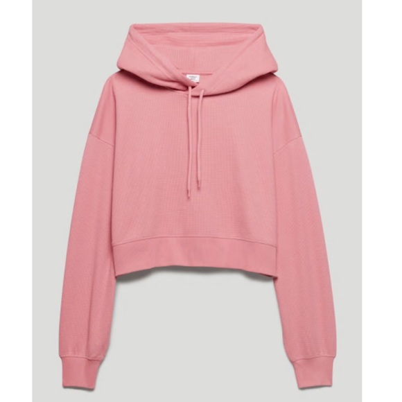 Aritzia Tops - Aritzia Cropped Hoodie